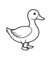duck cookies decorated