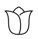 flower royal icing transfers
