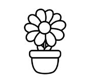 royal icing transfers flowers